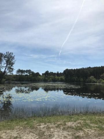 Village Vacances Aux Villages Sous Les Pins ليو المظهر الخارجي الصورة
