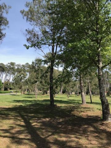 Village Vacances Aux Villages Sous Les Pins ليو المظهر الخارجي الصورة